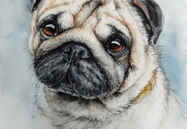 Dog watercolor painting