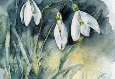 snowdrops flowers watercolor painting