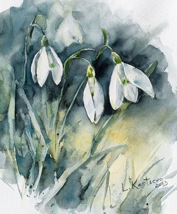 snowdrops flowers watercolor painting