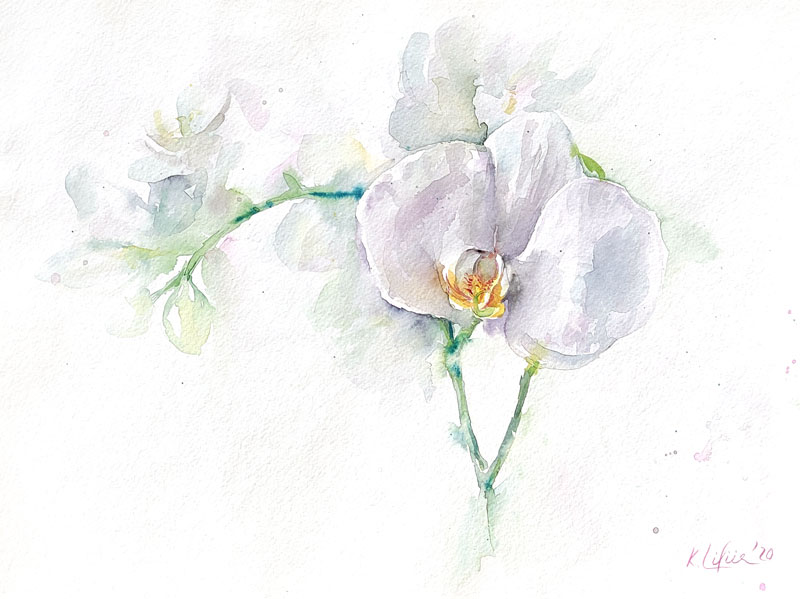 Orchid watercolor