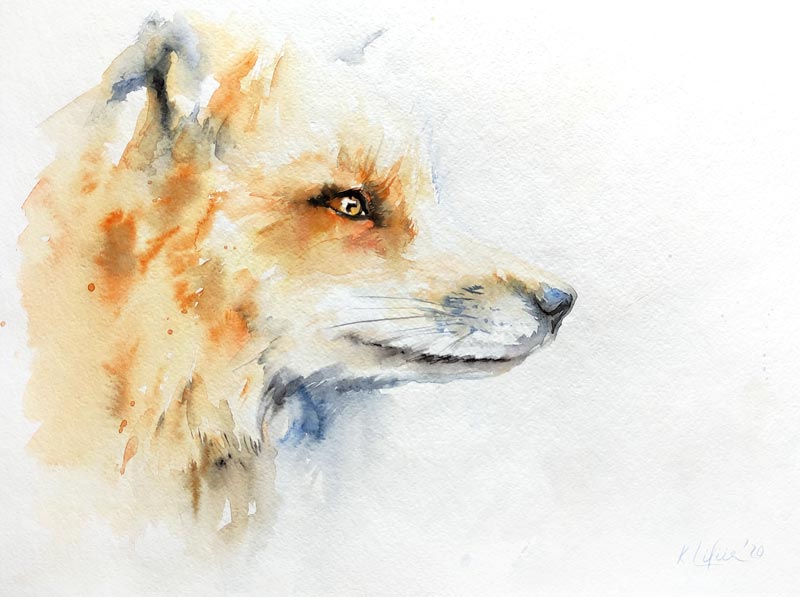 Fox watercolor painting