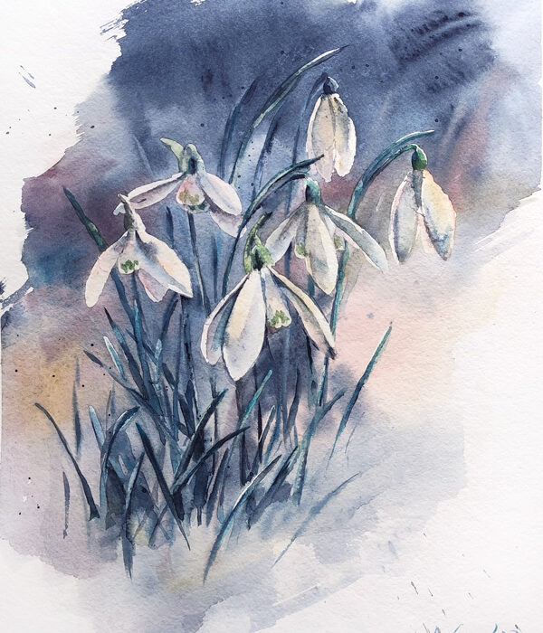 Snowdrops wateercolor painting