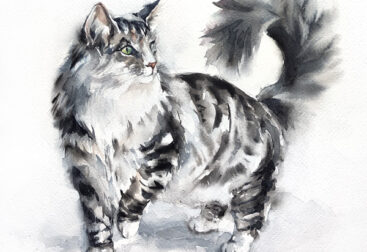 Tabby cat watercolor