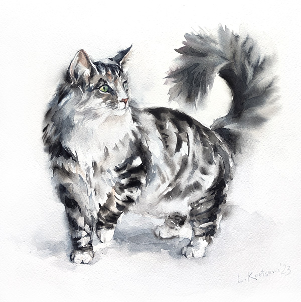 Tabby cat watercolor