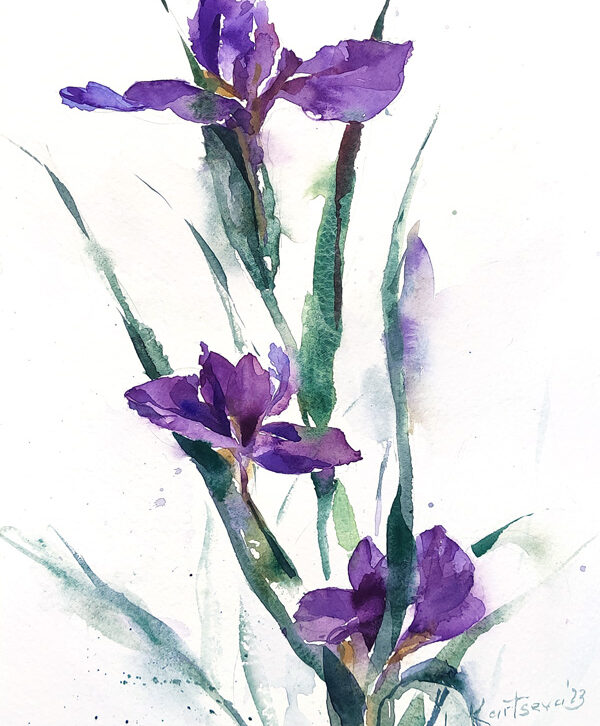 Iris flower watercolor painting