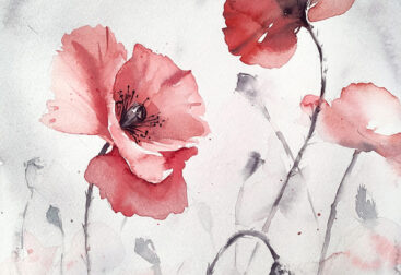 Poppy Flowers watercolor painting