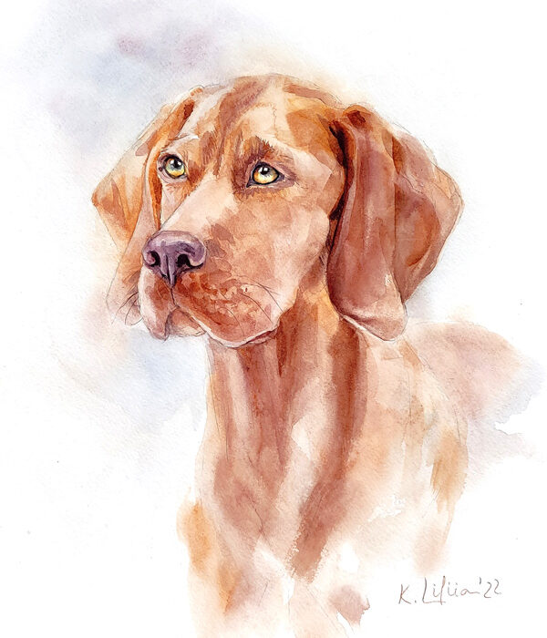 Vizsla Dog Breed watercolor painting