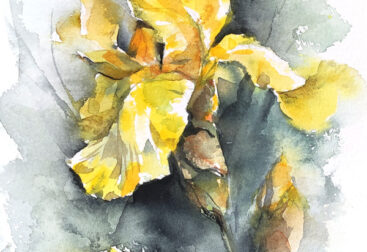 Yellow Iris watercolor painting