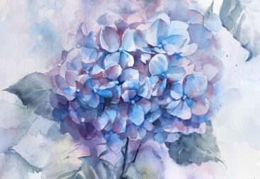 Blue hydrangea watercolor painting